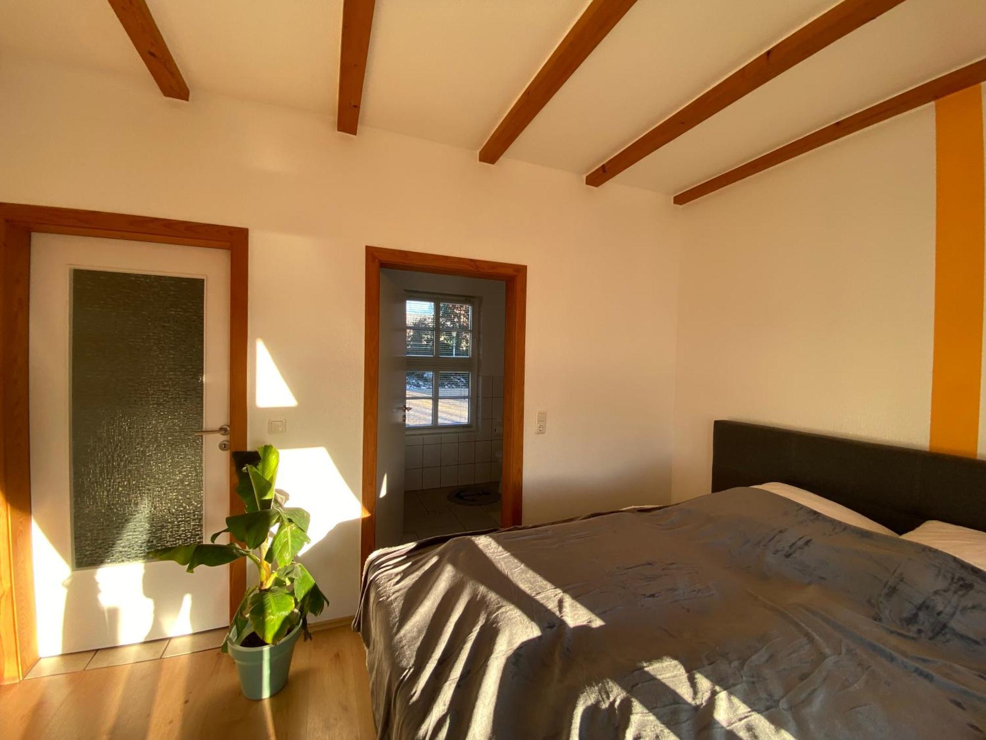 Ferienhaus Banana Lodge Bruchhausen-Vilsen 외부 사진