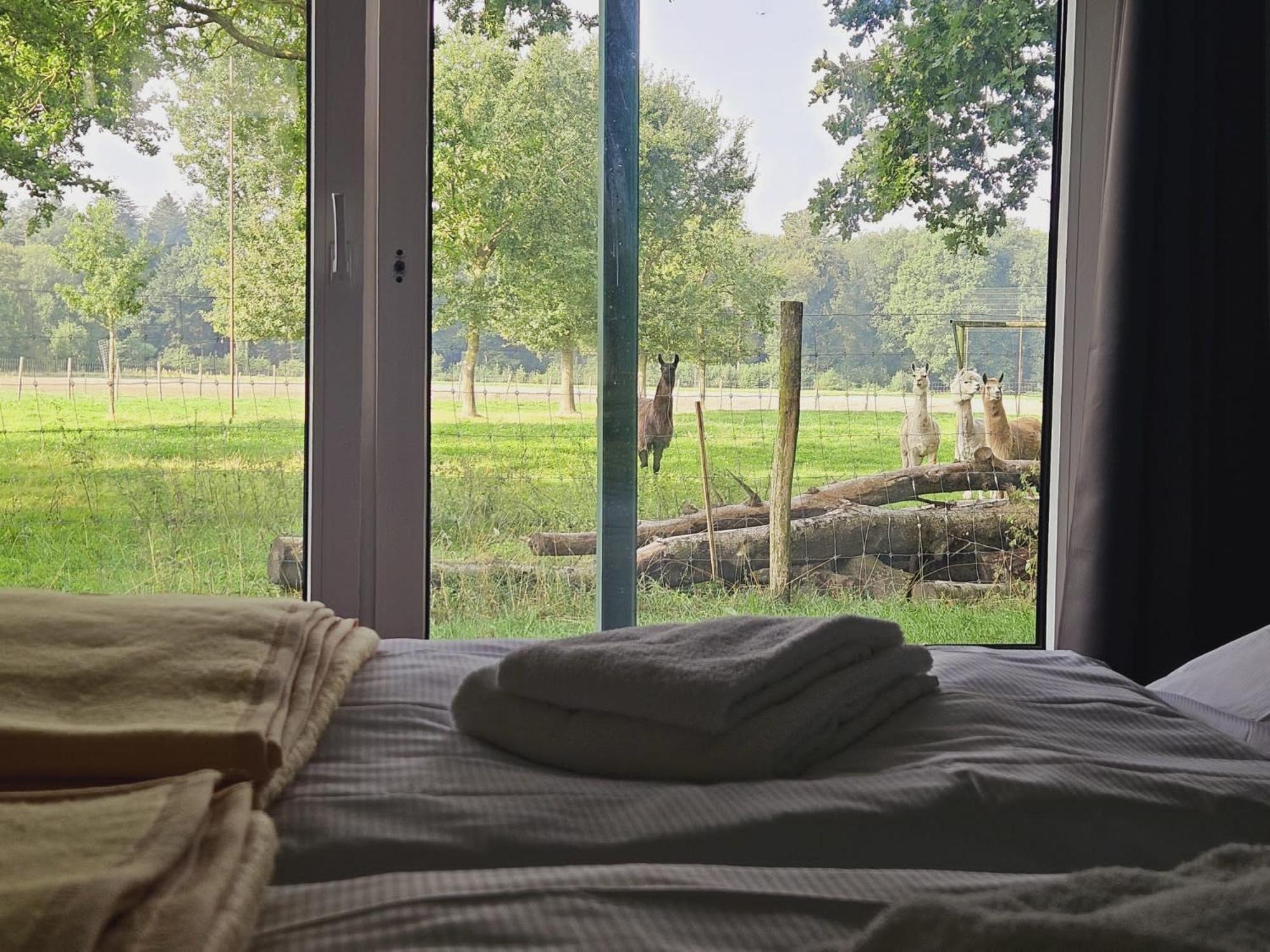 Ferienhaus Banana Lodge Bruchhausen-Vilsen 외부 사진